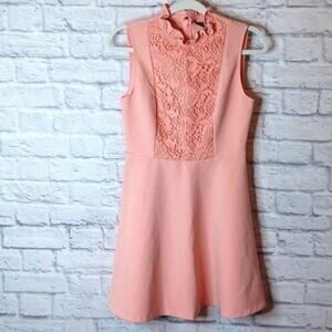 Zara M Pink Lace Ruffle Mini Dress Medium